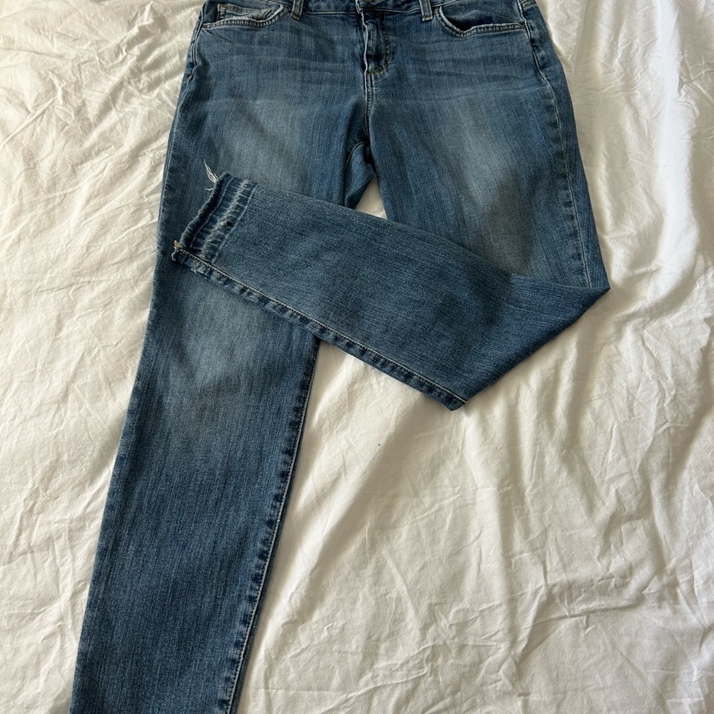 Joe's Jeans Women's Skinny Denim